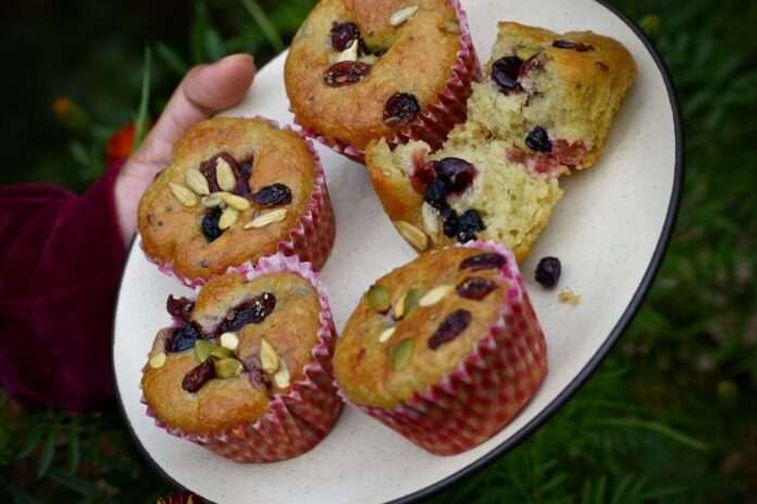 eggfree blueberry muffin