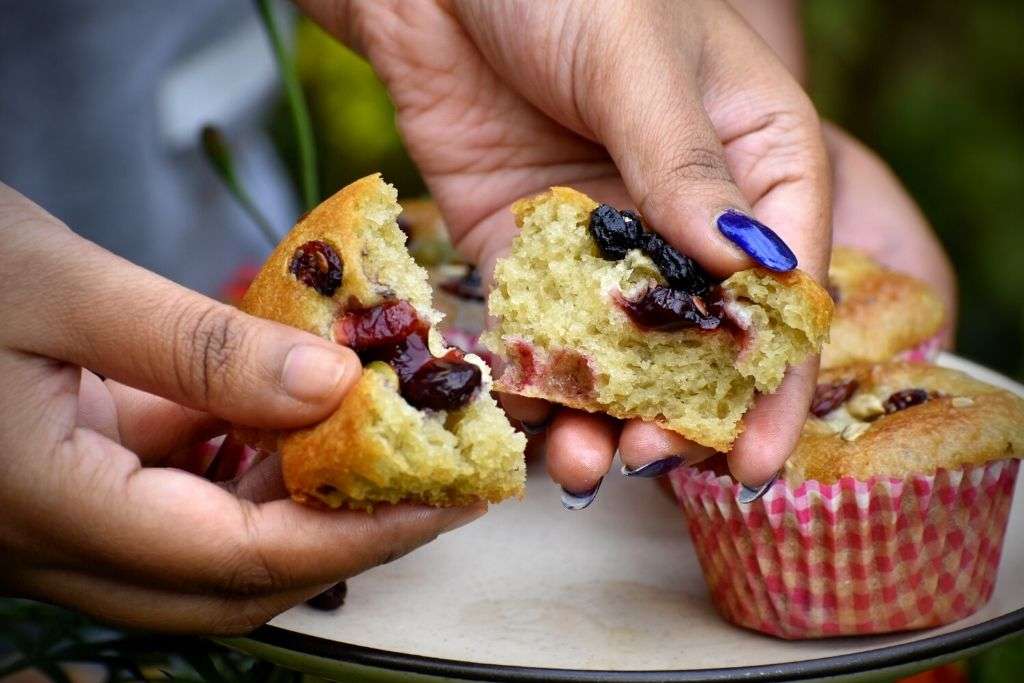 eggless blueberry muffin recipe