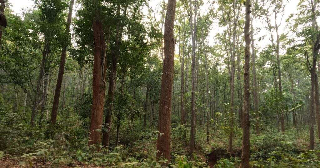 thalkobad forest rest house